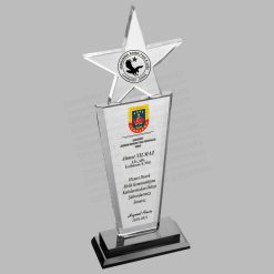 Askeri Hizmet Anısı Yıldızlı Kristal Cam Şilt Plaket - ŞLT-123