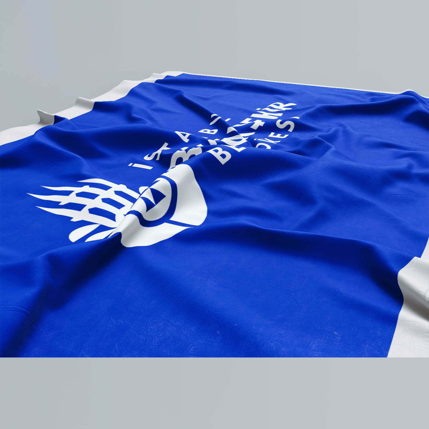 Özel Logolu Alpaka Gönder Bayrak Flama 120x180 - Görsel 3