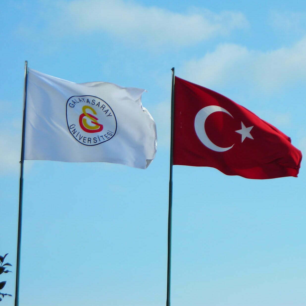 Raşel Özel Logolu Gönder Bayrağı - 80x120 cm 1 Raşel Özel Logolu Gönder Bayrağı - 80x120 cm