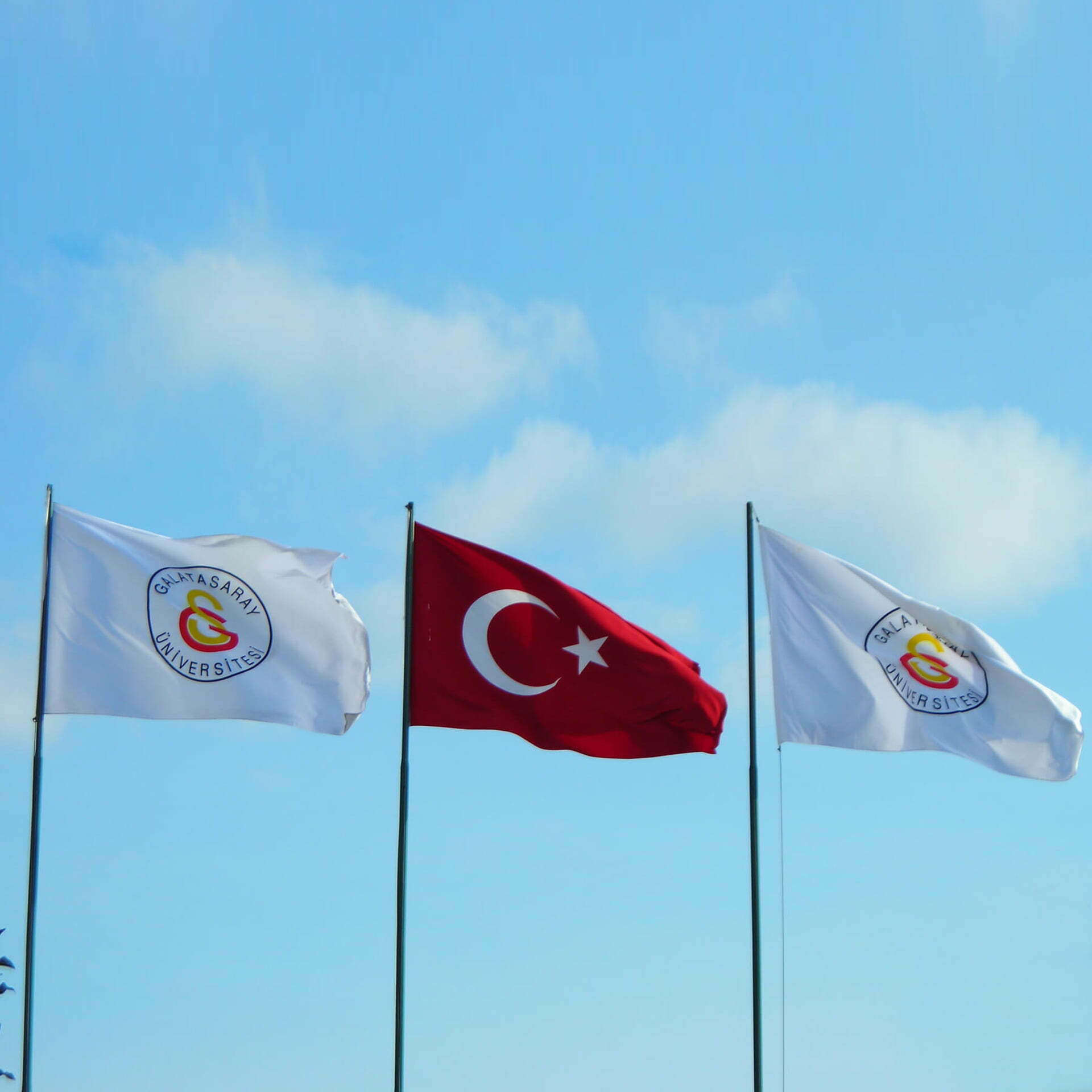 Raşel Özel Logolu Gönder Bayrağı - 100x150 cm - Görsel 3