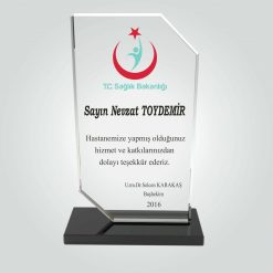 Classic Shop 35 Şeffaf Kristal Cam Kamu Teşekkür Plaketi