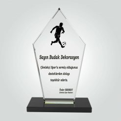 Eko Kristal Plaket