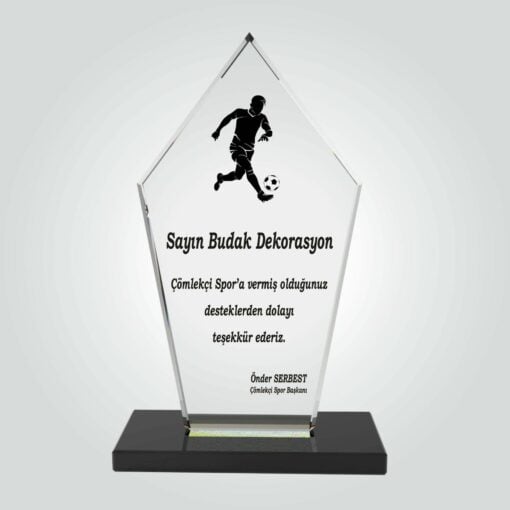 Eko Kristal Plaket