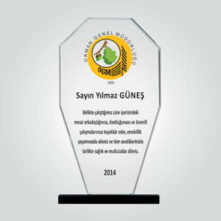 Şeffaf Kristal Cam Kamu Kurum Tayin Plaketi