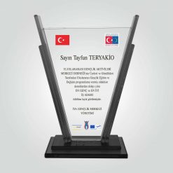 Siyah Cam Kristal Cam En İyi İş Adamı Ödülü Plaketi