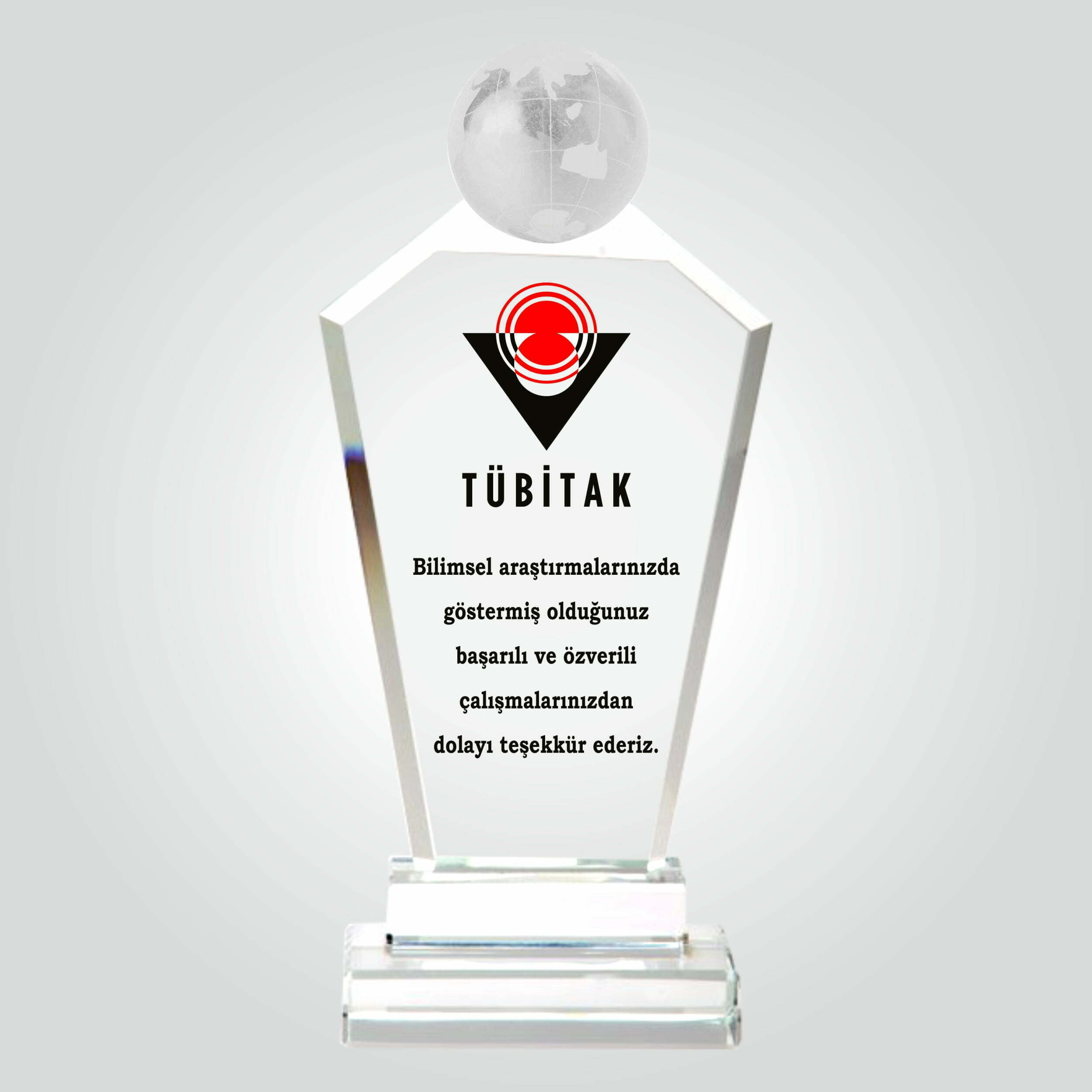 Özel Dünya Küreli Kristal Cam Teşekkür Plaketi