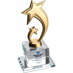 Yıldız Figürlü Kristal Cam Birincilik Ödülü Plaketi
