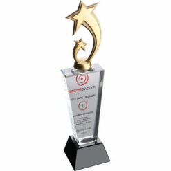Yıldız Figürlü Kristal Cam Ödül Plaket