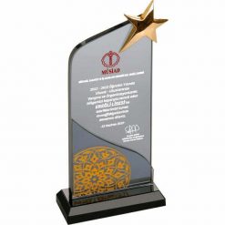 Yıldızlı Kristal Cam Başarı Tebrik Plaketi
