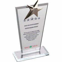 Yıldızlı Kristal Cam Üstün Başarı Tebrik Plaketi