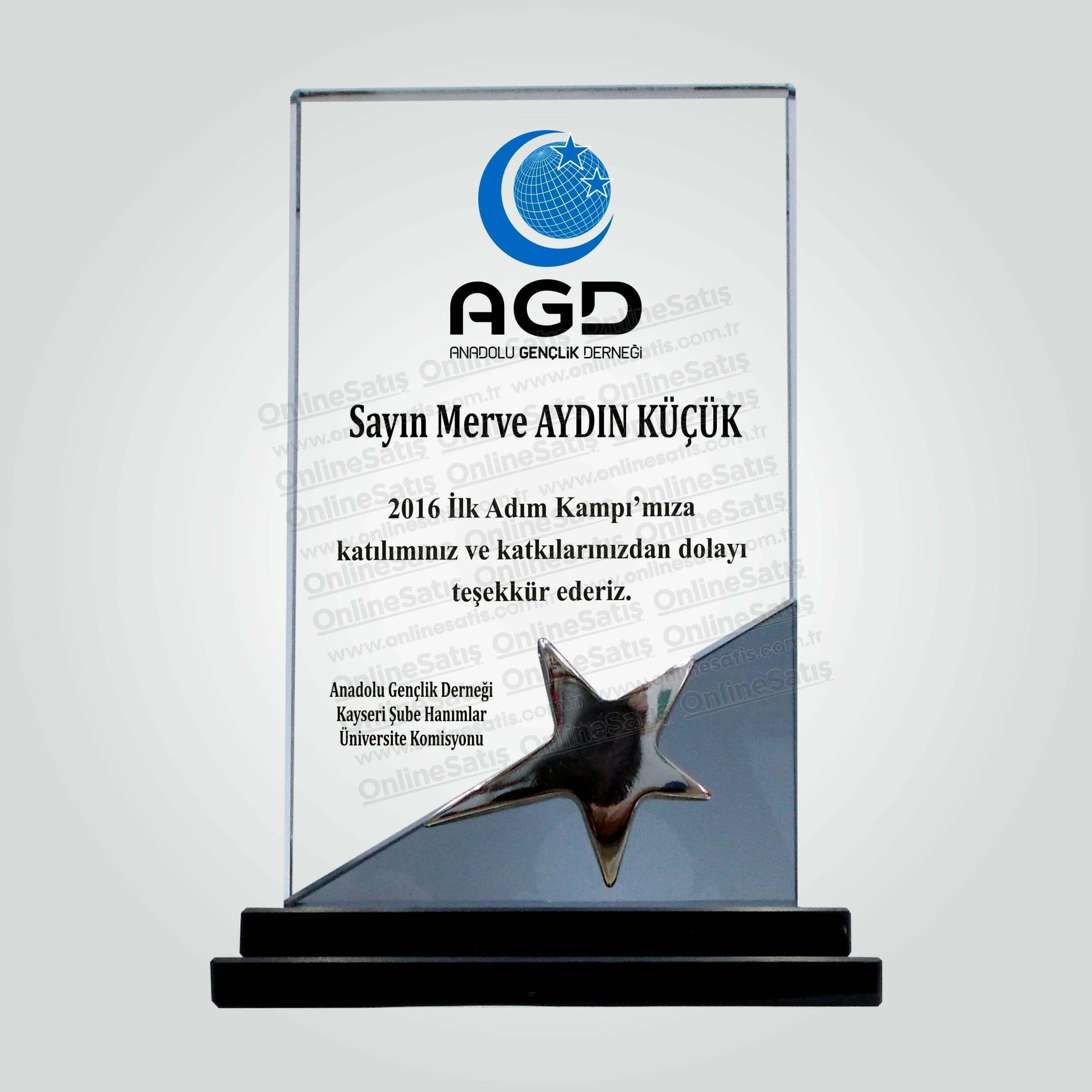 Kristal Cam Katılım ve Katkı Teşekkür Plaketi