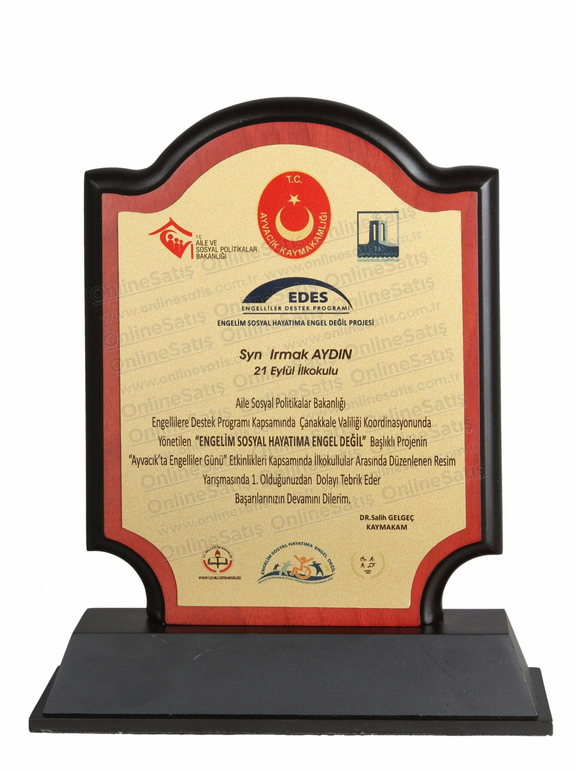 VİP Ahşap Okul Kolej Eğitimi Başarı Plaketi 1 VİP Ahşap Okul Kolej Eğitimi Başarı Plaketi