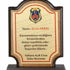 VİP Ahşap Okul Kolej Eğitimi Başarı Plaketi