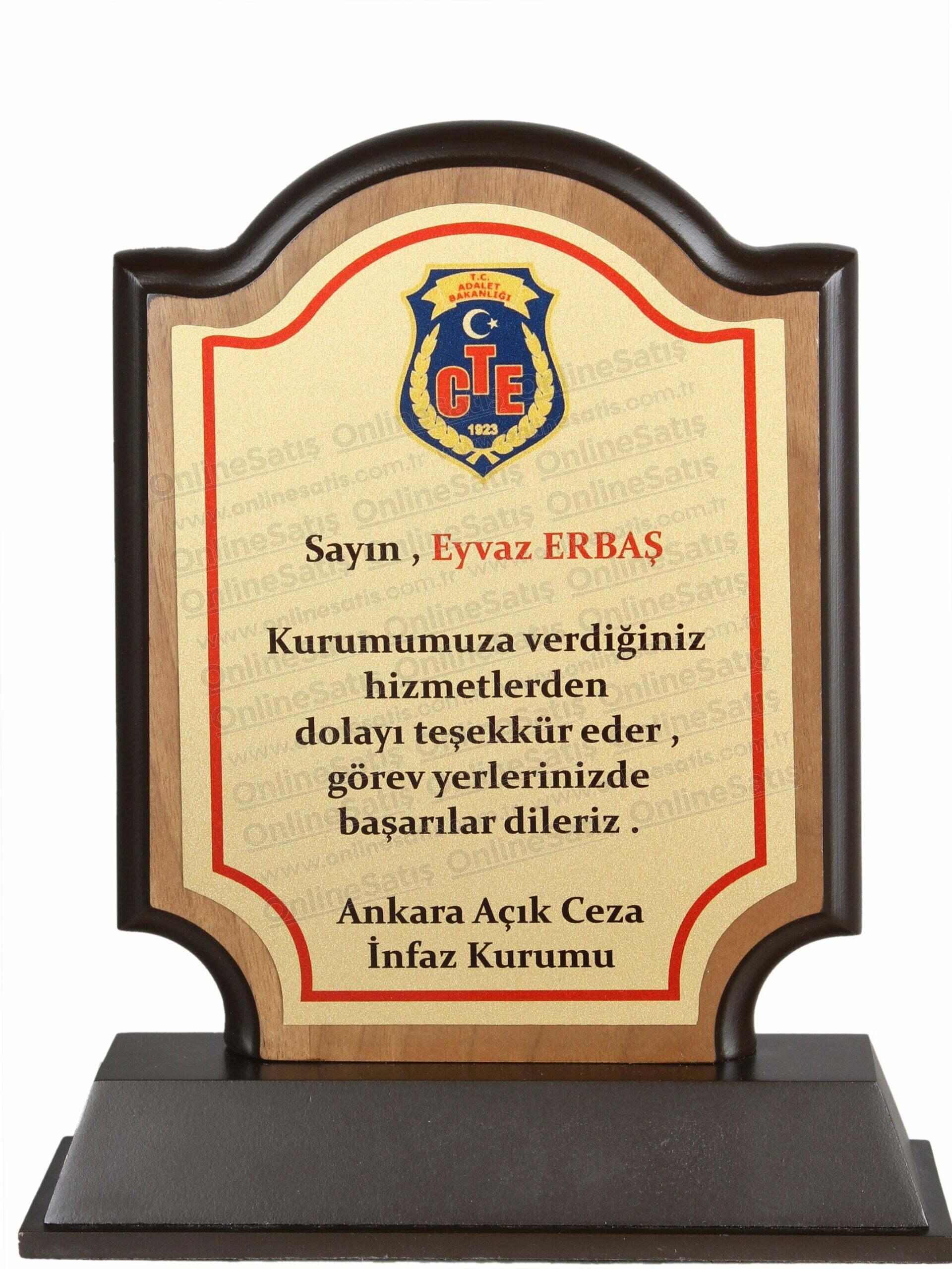 VİP Ahşap Okul Kolej Eğitimi Başarı Plaketi 3 VİP Ahşap Okul Kolej Eğitimi Başarı Plaketi - Görsel 3