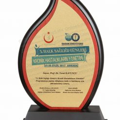 VİP Ahşap Plaket Başarı Plaketi