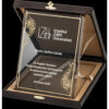 Cam Deri Kutulu Albüm Kristal Plaket PRT246 - Görsel 1