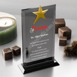 Classic Shop 20 FY Kristal Plaket PRT103 Cam Ödül