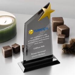 FY Kristal Plaket PRT107 Cam Ödül