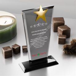 PB3005-FY Kristal Plaket