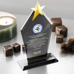 FY Kristal Plaket PRT119 Cam Ödül