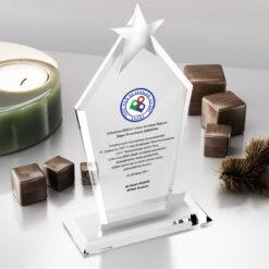 Y Kristal Plaket PRT118 Cam Ödül
