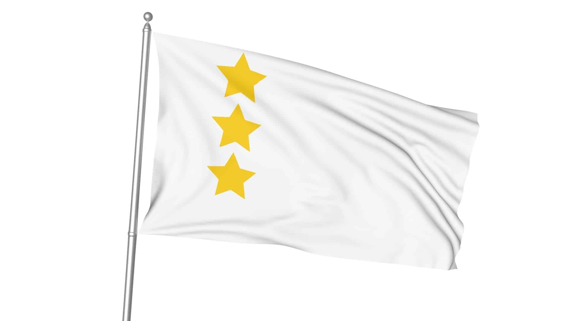 Ak Hun Bayrağı 1 17 Türk Devletleri Gönder Bayrağı Seti