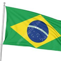 Brezilya Bayrağı