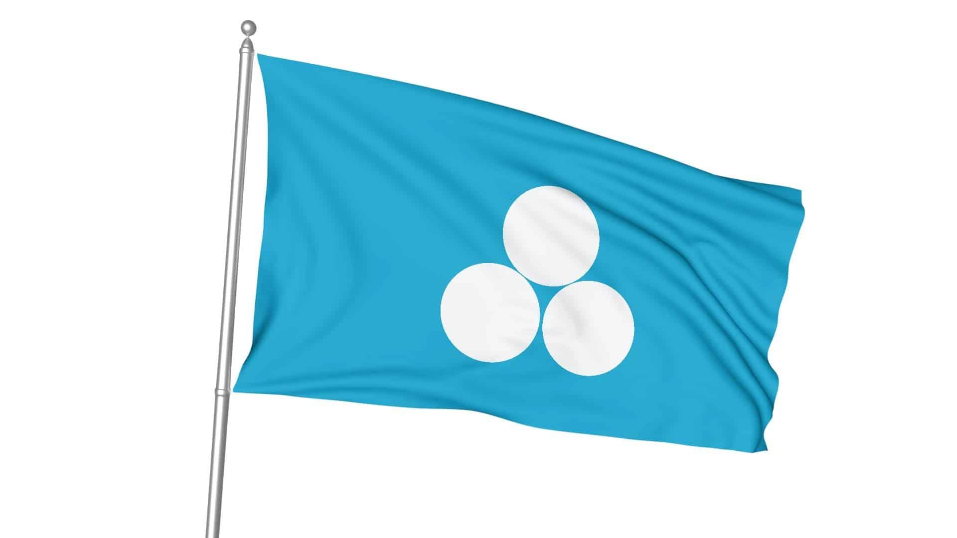 Büyük Timur Bayrağı 1 17 Türk Devletleri Gönder Bayrağı Seti