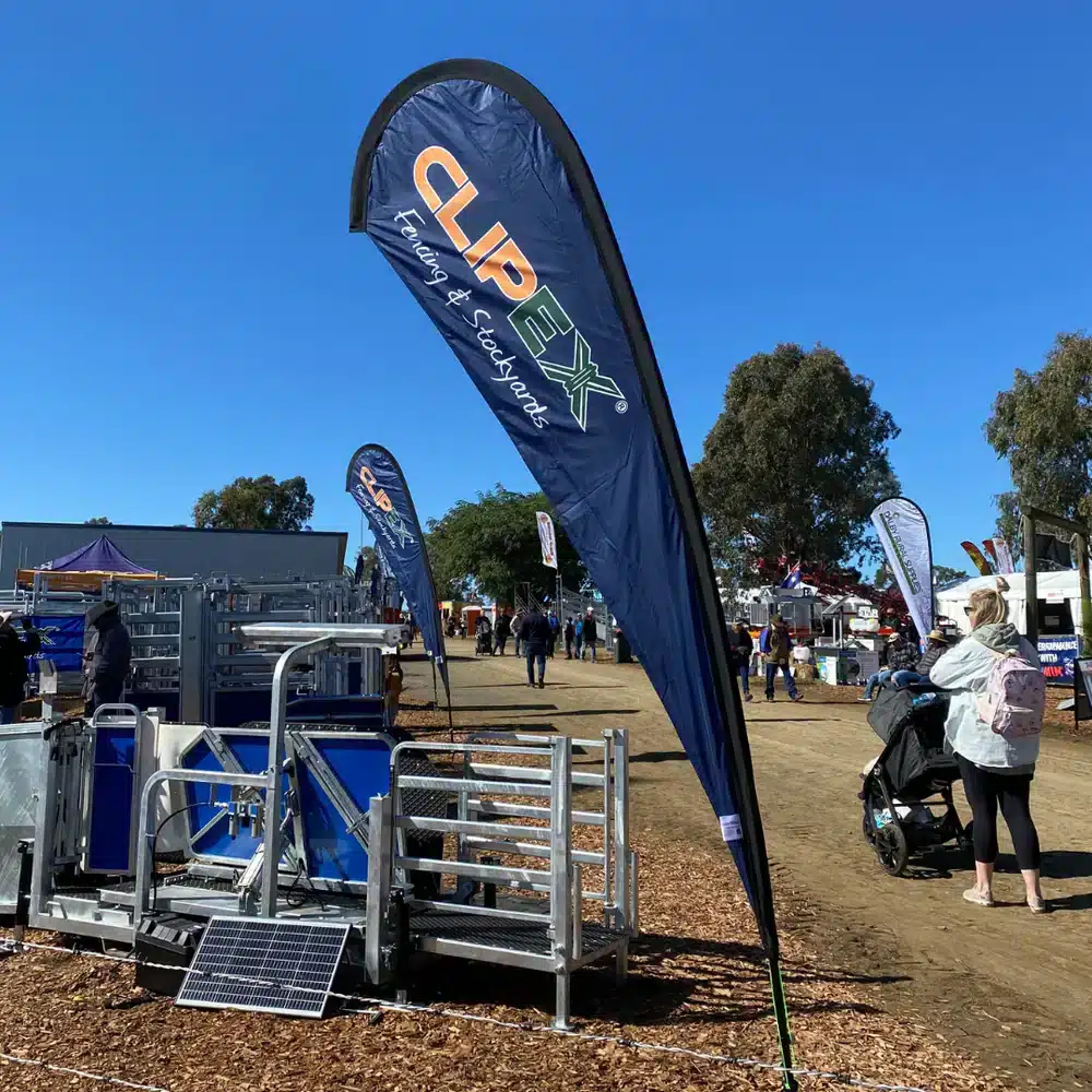 Damla Bayrak 4 Damla Bayrak