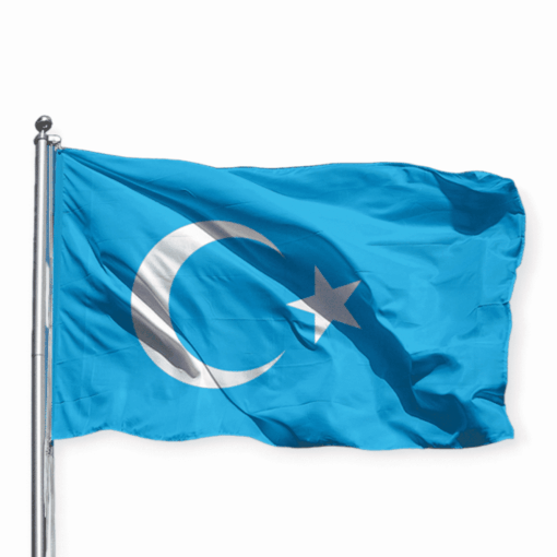 Doğu Türkistan Bayrağı
