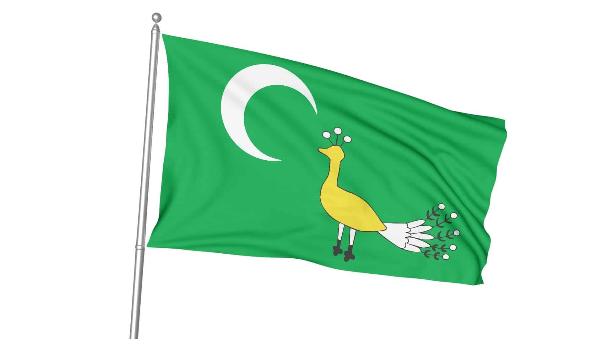 Gazneliler Bayrağı 1 17 Türk Devletleri Gönder Bayrağı Seti