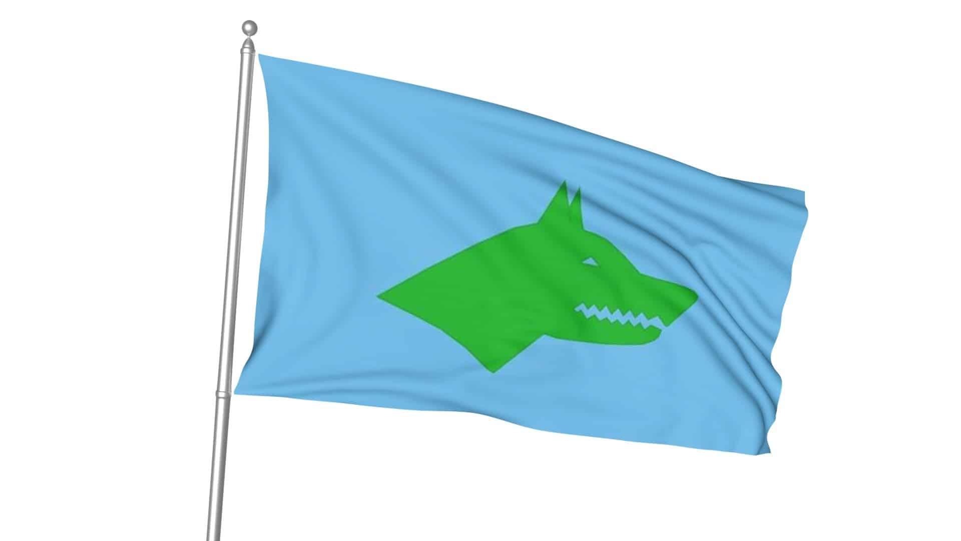 Göktürk Bayrağı 1 17 Türk Devletleri Gönder Bayrağı Seti