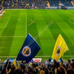 Sopalı Fenerbahçe Bayrağı
