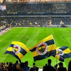 Sopalı Fenerbahçe Bayrağı