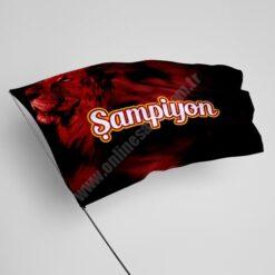 Sopalı Galatasaray Bayrağı