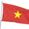 Vietnam Bayrağı