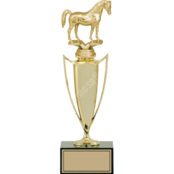 27 cm