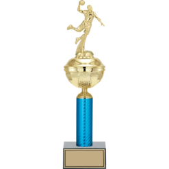 43 cm