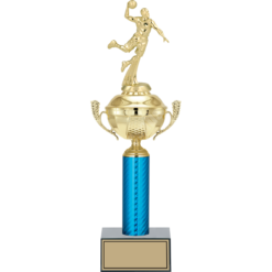 43 cm