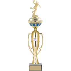 55 cm
