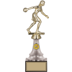23 cm