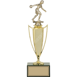27 cm