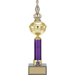 43 cm