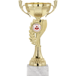 24 cm