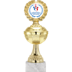 24 cm