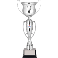 48 cm