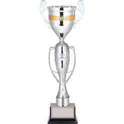 48 cm