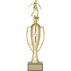 42 cm