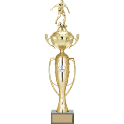 49 cm