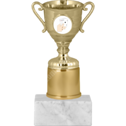 16 cm